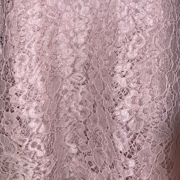 Xtraordinary Lace Dress - Picture 5 of 7